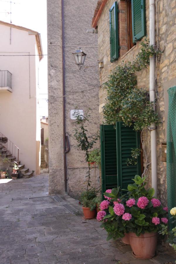 Antica Abitazione Con Vista Montagna Casa Norma Apartment Seggiano ภายนอก รูปภาพ