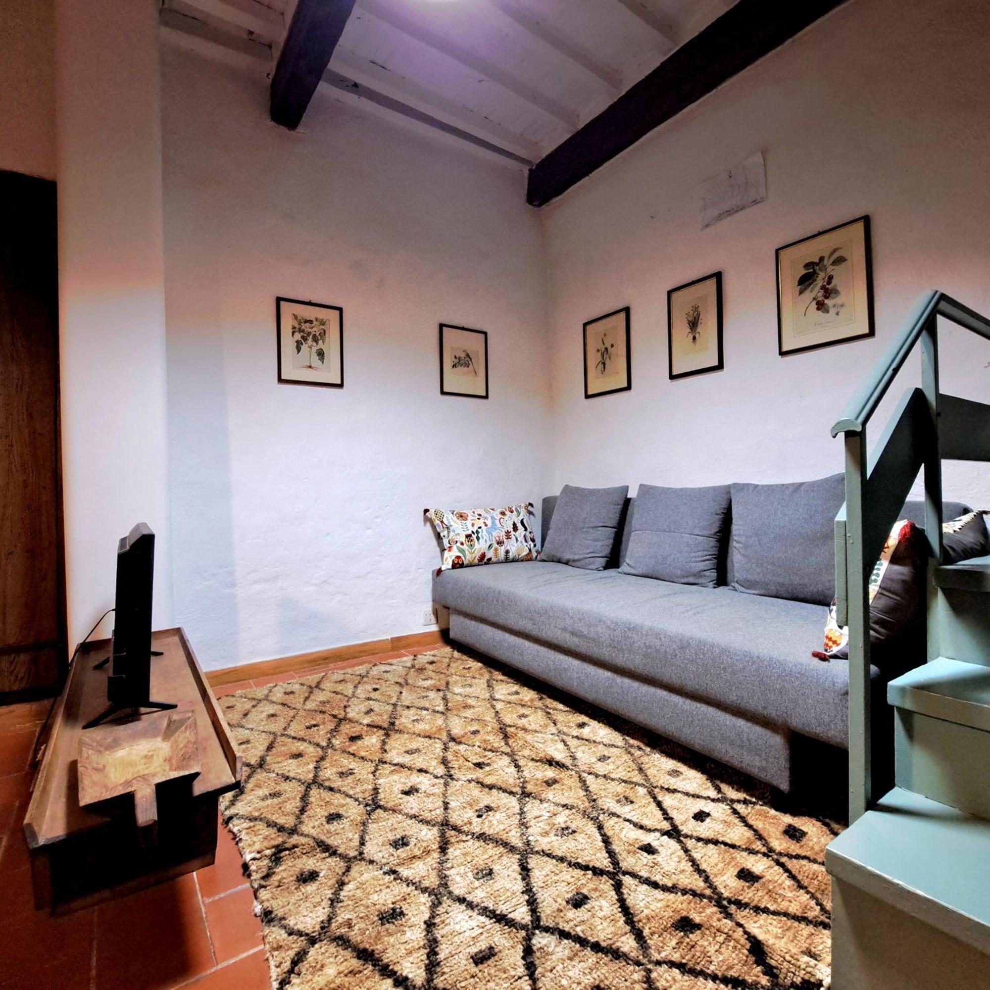 Antica Abitazione Con Vista Montagna Casa Norma Apartment Seggiano ภายนอก รูปภาพ