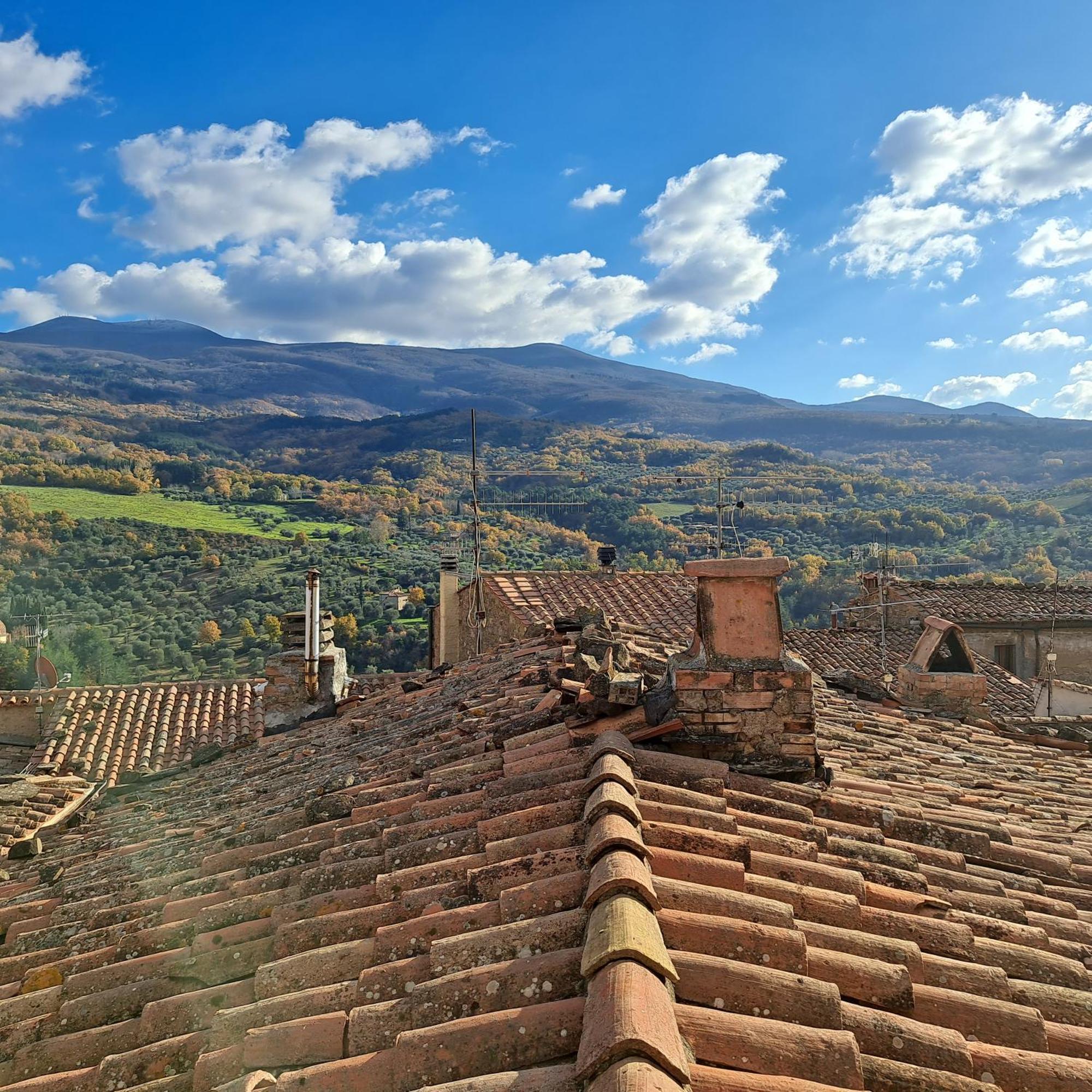 Antica Abitazione Con Vista Montagna Casa Norma Apartment Seggiano ภายนอก รูปภาพ